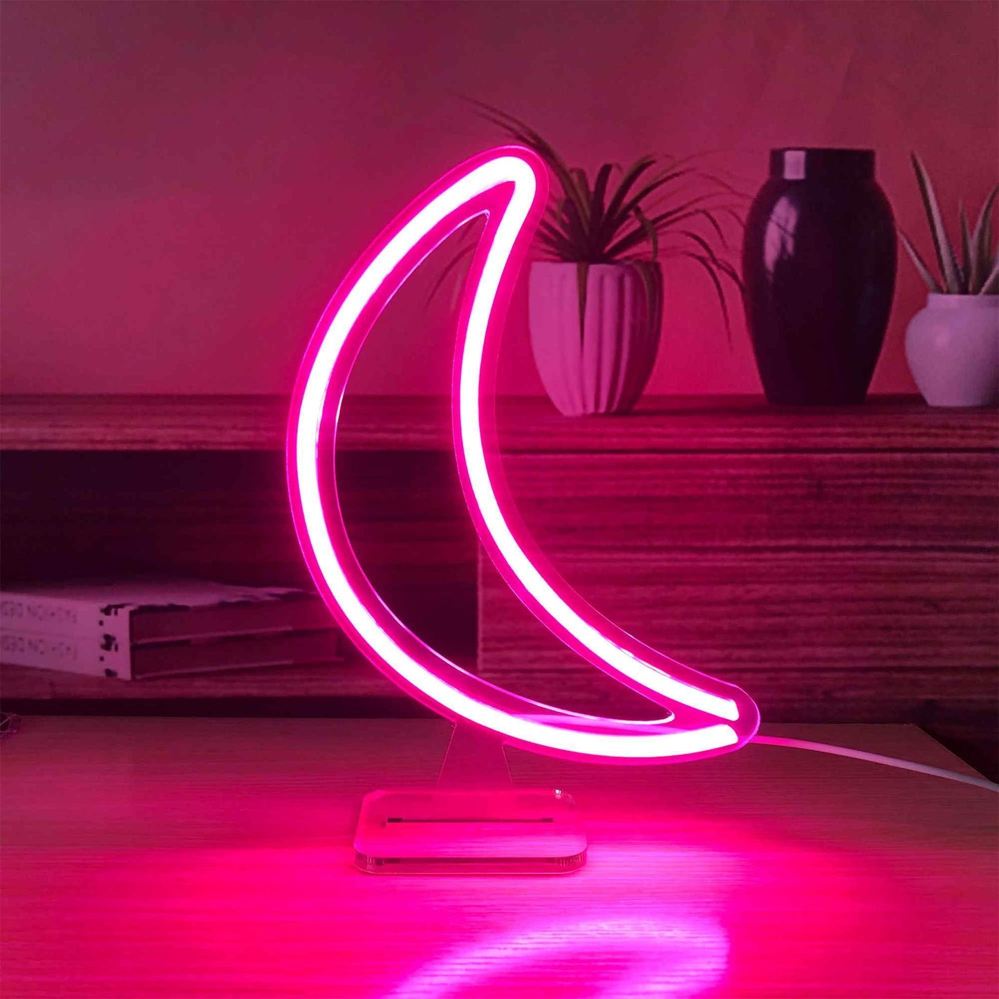 Moon Small LED Neon Sign Lights